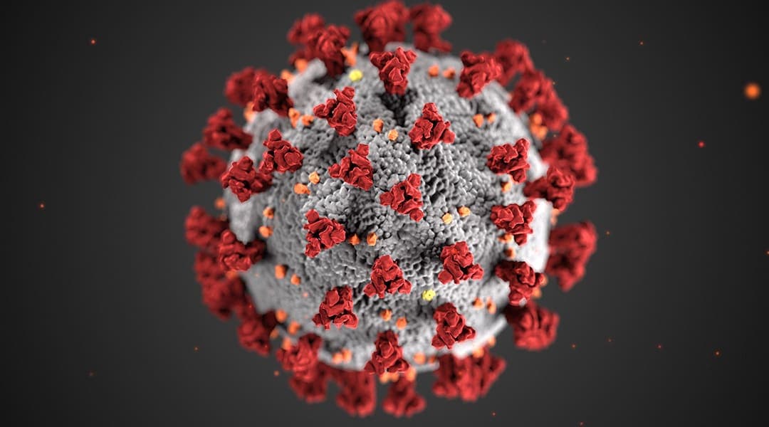 New pandemic in 2026?